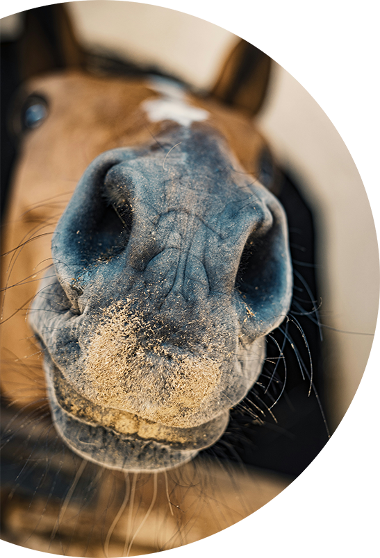 Schön, dass du da bist!